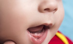 premières dents bébé